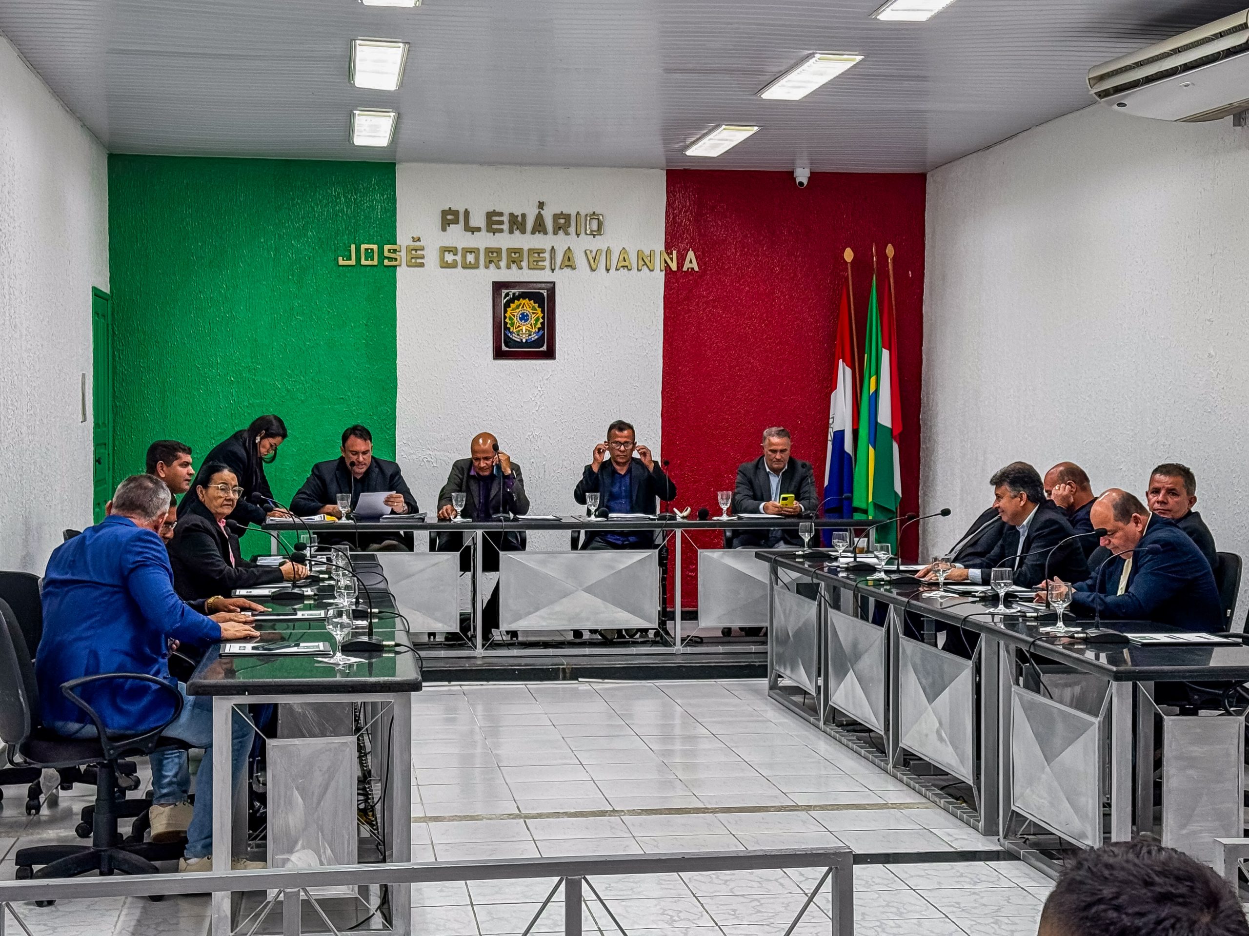 Câmara realiza audiência pública sobre infestação de moscas